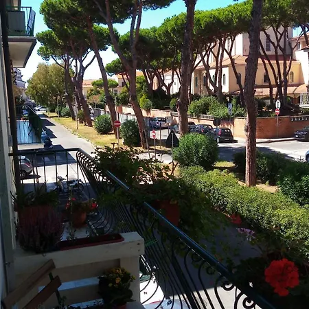 San Francesco Viareggio